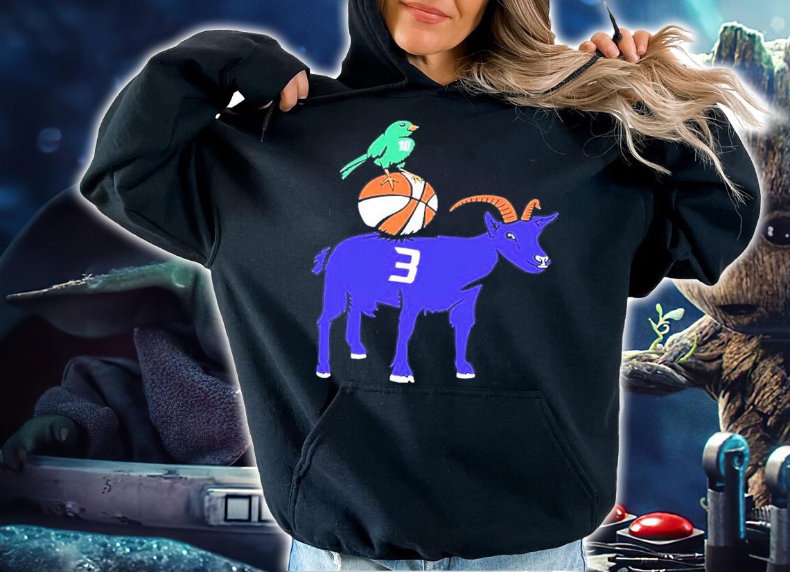Sue Bird And Diana Taurasi T-Shirt hoodie
